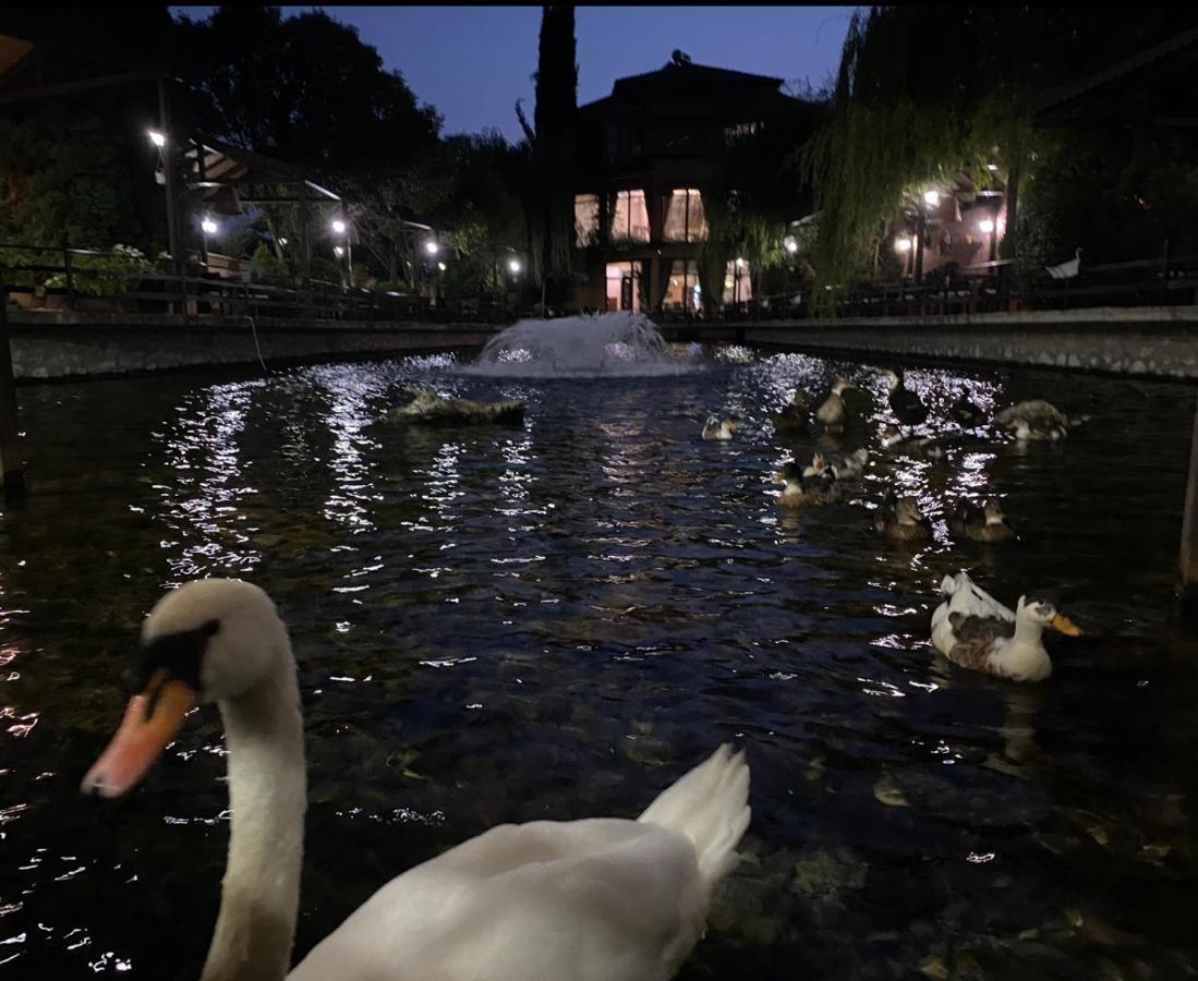 Hotel Rritja E Koranit Tushemisht Exteriér fotografie